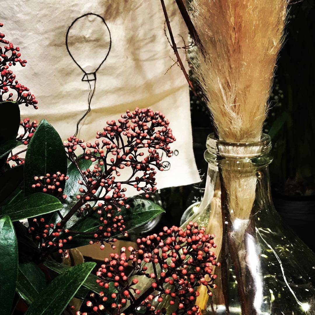 Livraison fleurs et plantes d'intérieur pendant le confinement à Toulouse
